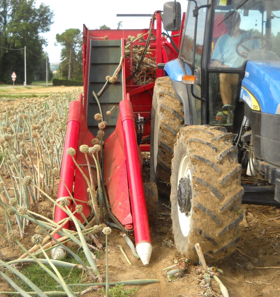 seed onion harvesting machine 