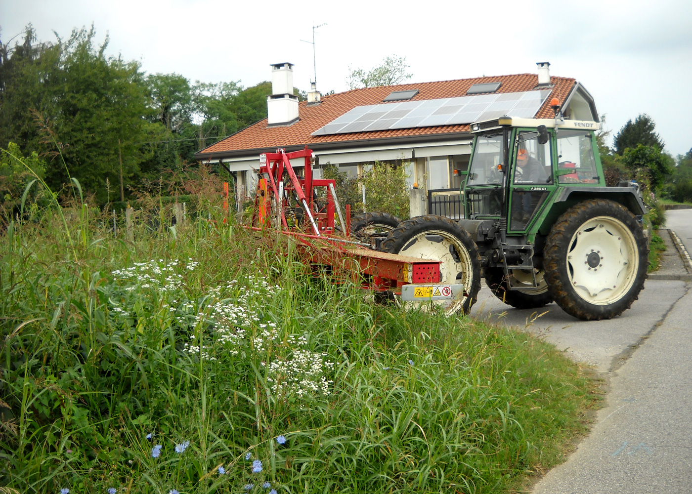 cover crops management