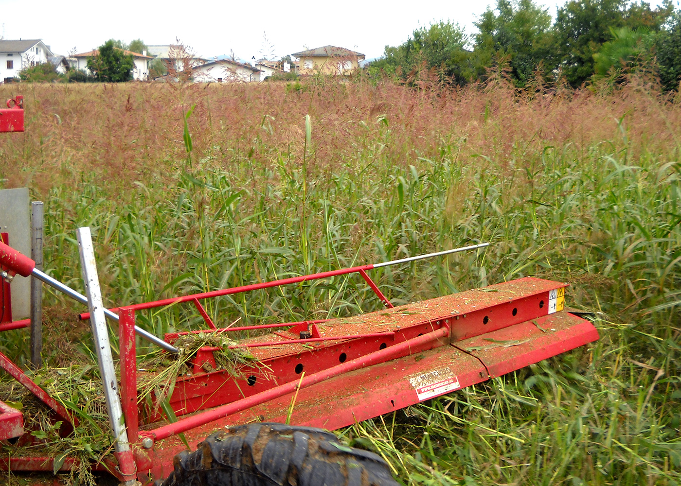 cover crops