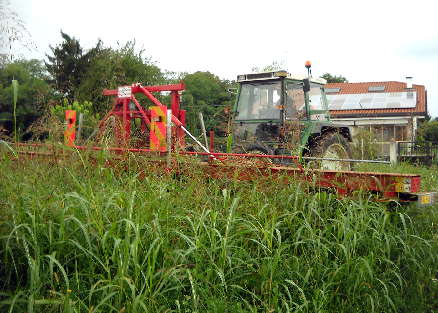 cover crops management