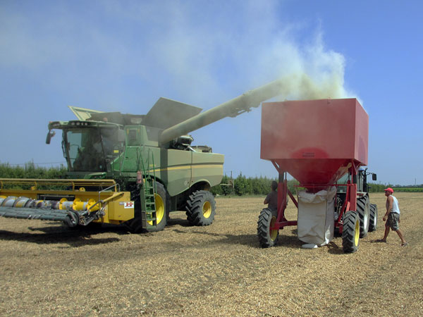 Grain and seed bagging machine