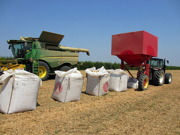 grain and seed bagging machine