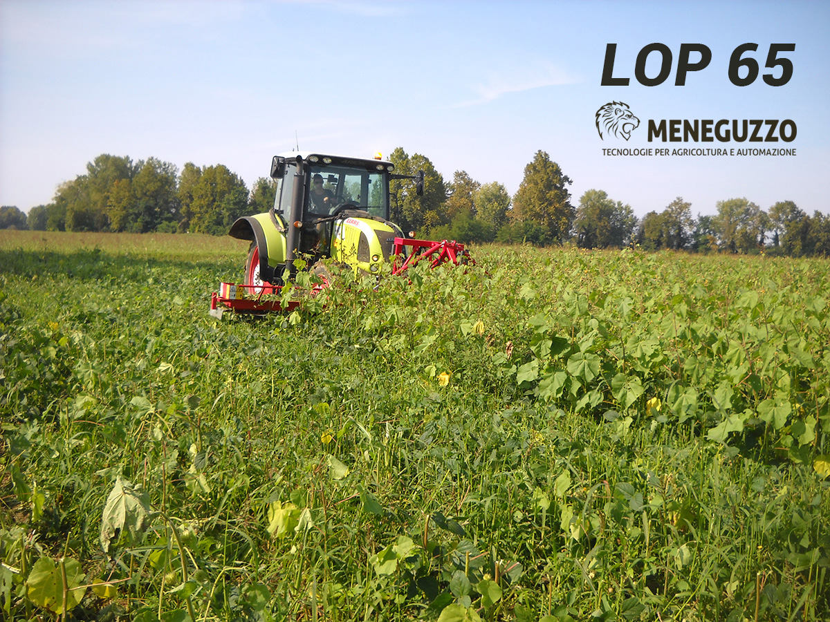 podadora modular LOP 65/90/120 para agricultura ecológica