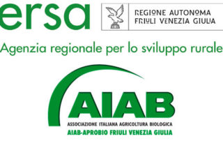 soia biologica e gestione malerbe in agricoltura biologica