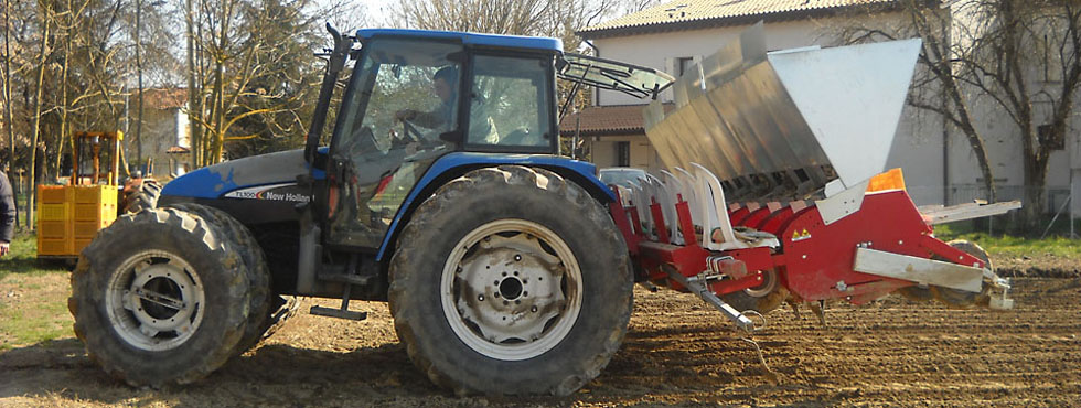 TRANSPLANTER FOR SEED BEET